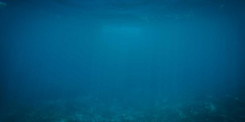 从广电网络到数字引擎:荆州广电宽带如何破局家庭与企业市场?