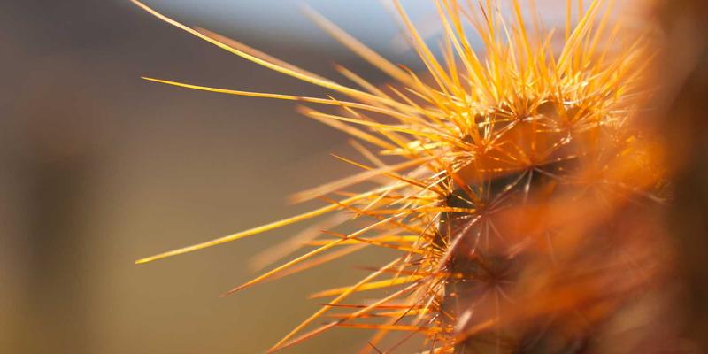 荆州5G融合专线新纪元:本地ISP如何以FWA+云服务重塑企业宽带生态