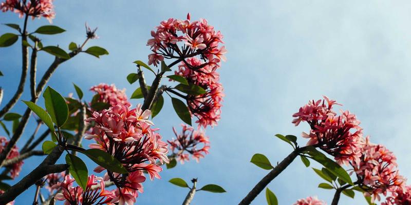 荆州数据中心托管服务深度解析:如何选择与ISP网络直连的机房